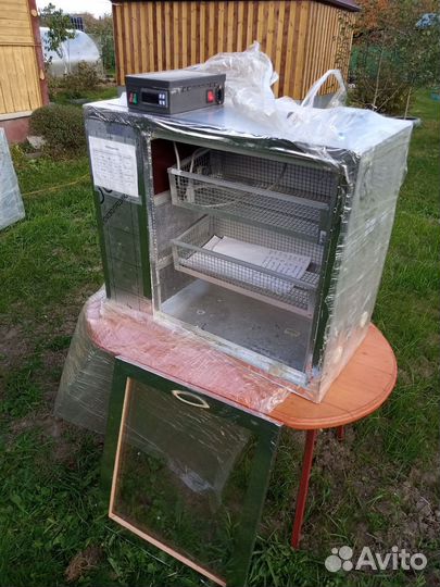 Инкубатор для яиц автоматический бу