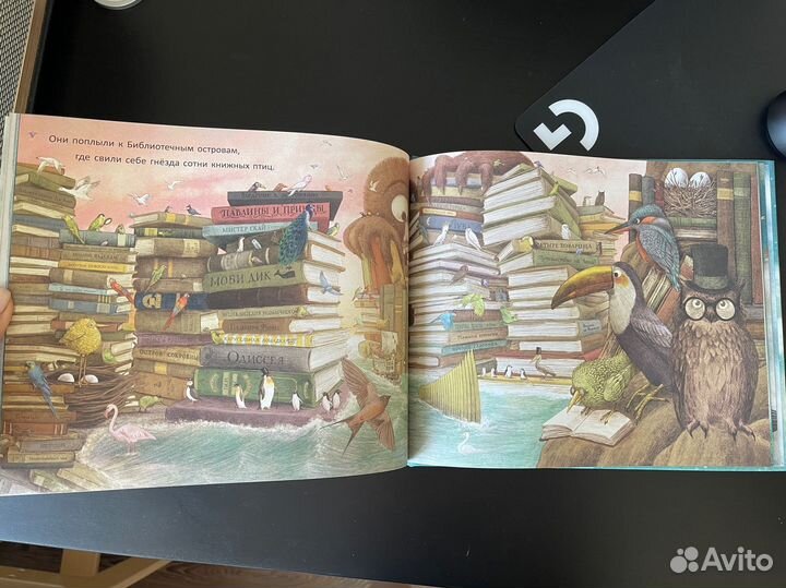 Книги-картинки братьев Фэн Поляндрия