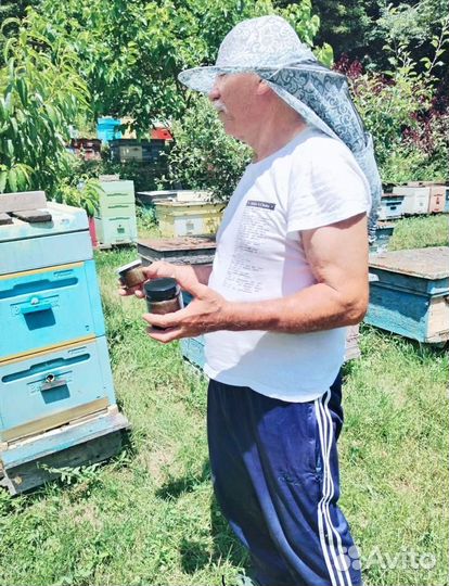 Антипаразитарное медовое желе