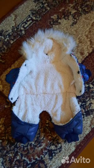 Комбинезон для маленькой собаки