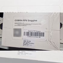 Cobra X V2 FPV Google