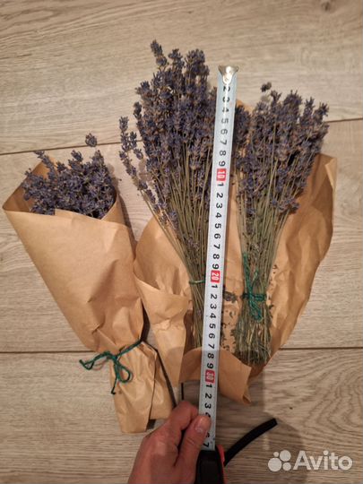 Букетики лаванды 30см
