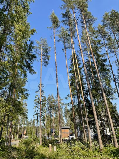 Участок 13,1 сот. (ИЖС)