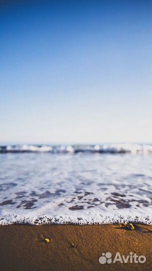 Фото shutterstock,iStock,depositphotos,adobeStoc