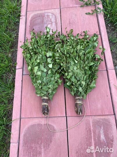 Березовые веники продам