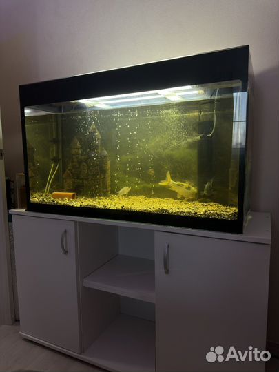 Готовый Аквариум с рыбками и тумбой