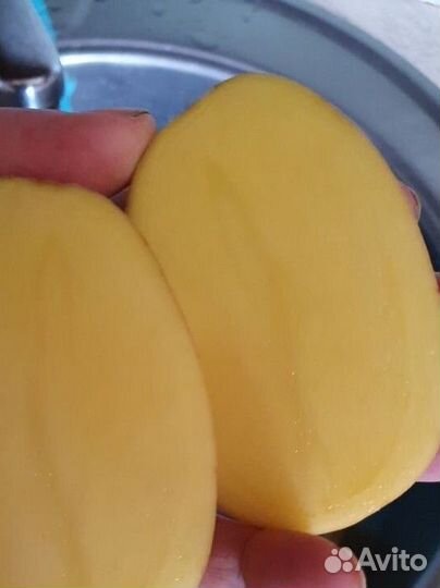 Беларусская лилея с доставкой только по станице