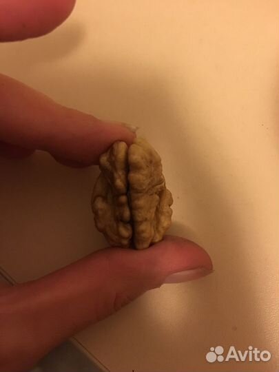 Орех грецкий