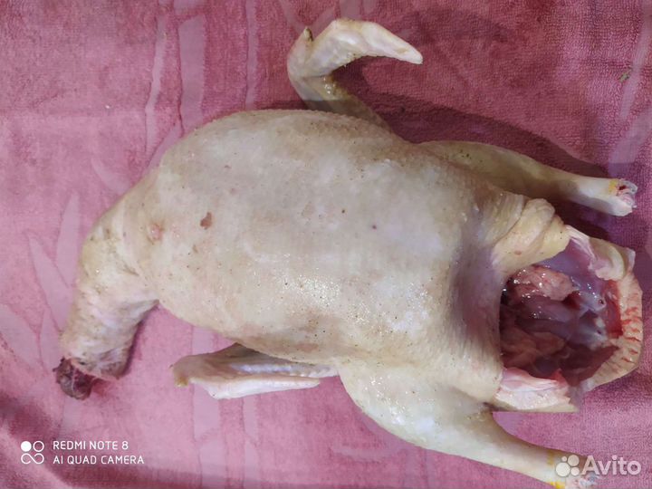 Мясо домашней птицы