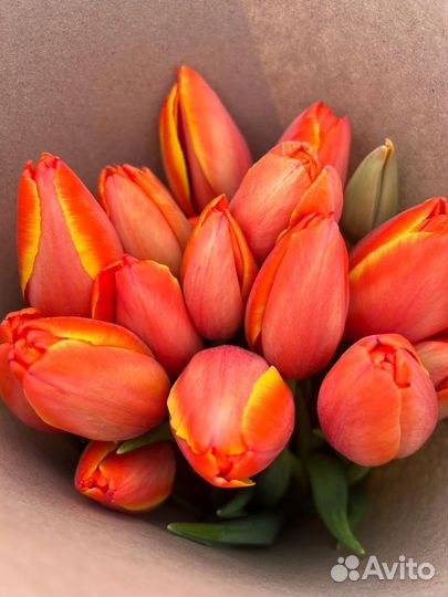 Тюльпаны к 8 марта