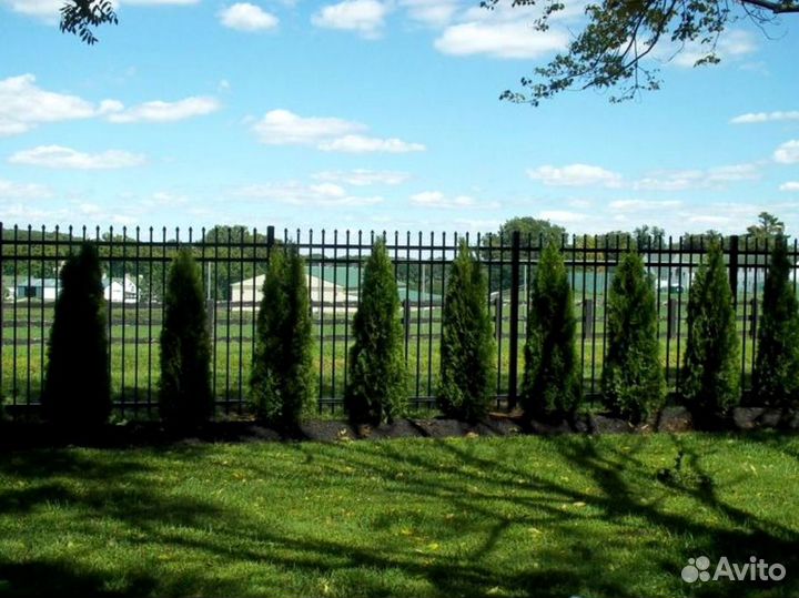 Забор из профильной трубы