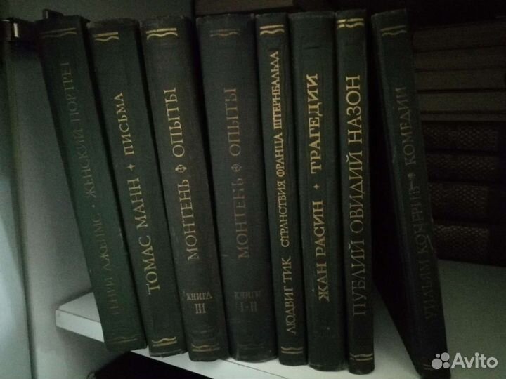 Серия «Литературные памятники»