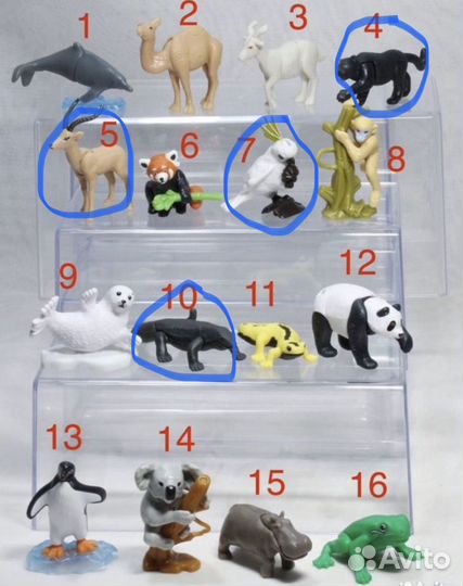 Киндер натунс 2024/Piglette зайки