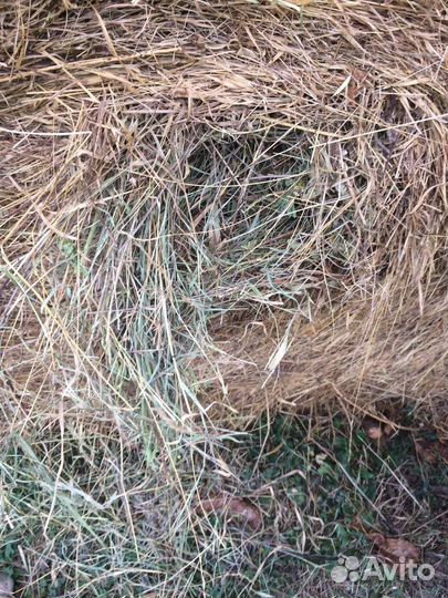 Сено в тюках