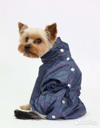 Комбинезон для маленькой собаки