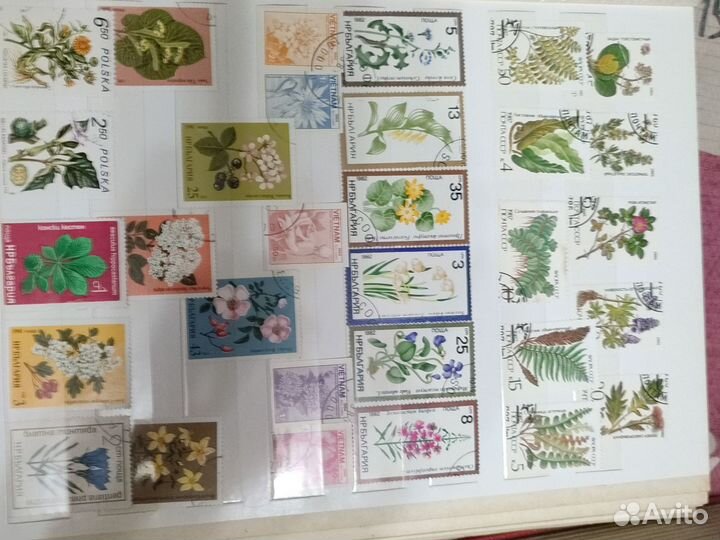 Марки цветы, растения Альбом с марками