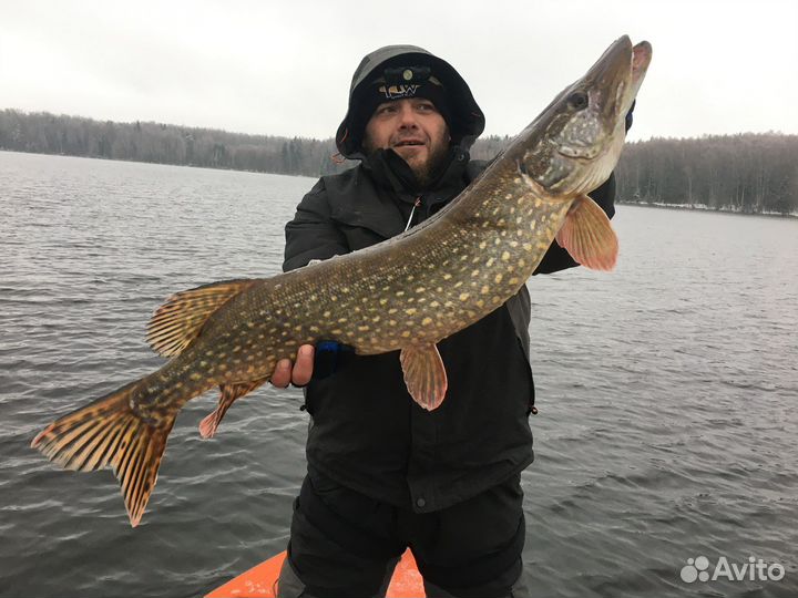 Рыбалка с гидом