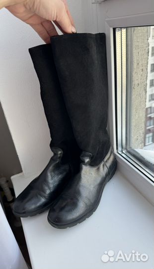 Сапоги зимние Missouri