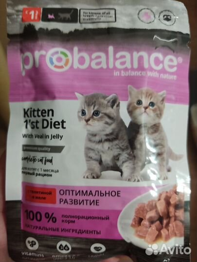 Корм для котят влажный Probalance