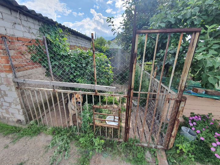 Дом 53,2 м² на участке 12 сот.