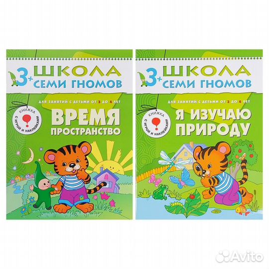 Полный годовой курс от 3 до 4 лет. 12 книг с играм