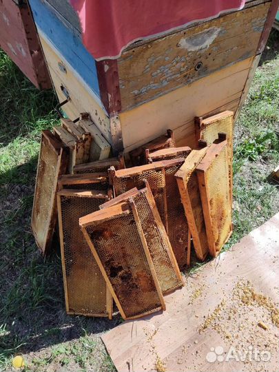 Сушь,рамки для пчёл