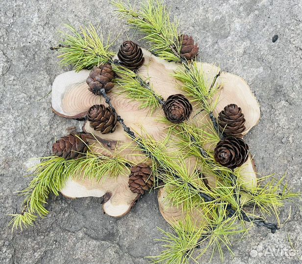 Шишки для творчества и декора