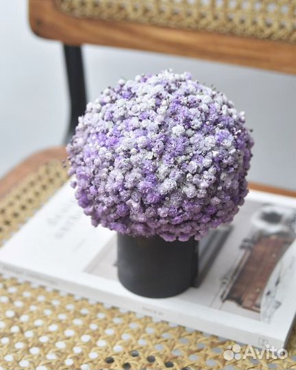 Свежие Композиции из Радужной Гипсофилы