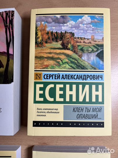 Книги эксклюзивная классика