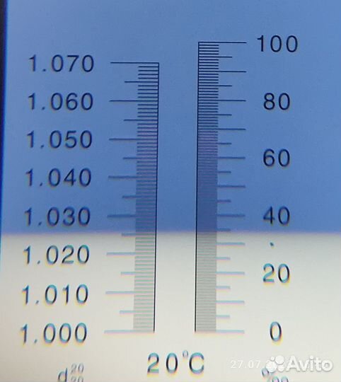 Тетраселмис / Tetraselmis