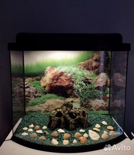 Аквариум с передним панорамн 30 л
