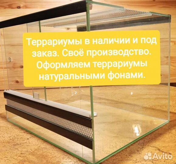 Террариумы для рептилий в наличии и под заказ