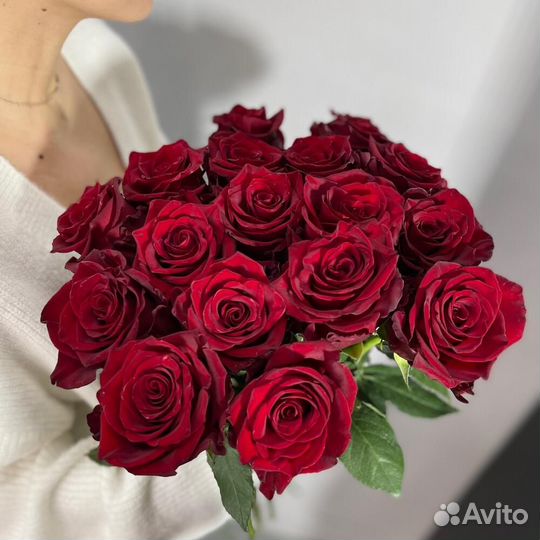 Розы эквадор