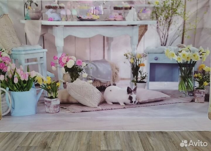 Фотофон виниловый