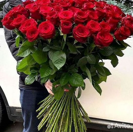 Розы Букеты Цветы Розы 31 101 151 201 Доставка