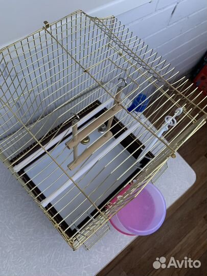 Клетка для попугая