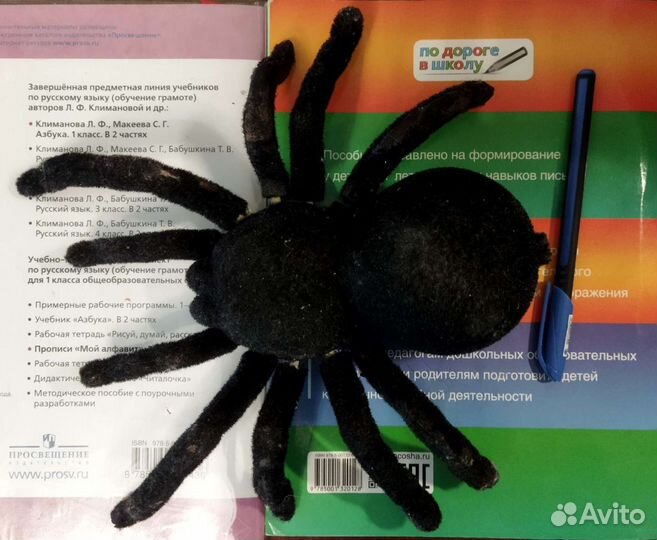 Паук на пульте управления