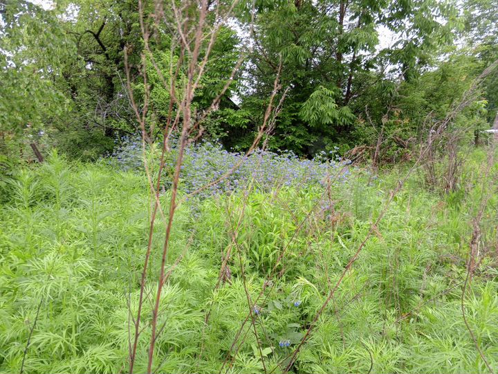 Дача 24 м² на участке 6 сот.