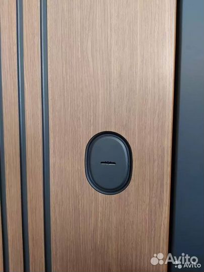 Входная дверь Юта