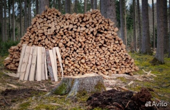 Дрова дубовые