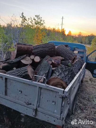 Дрова не колотые Дуб