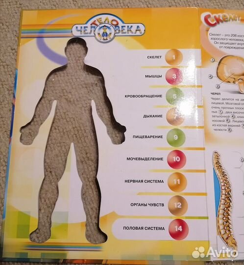 Энциклопедия 