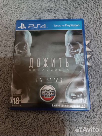 Дожить до рассвета