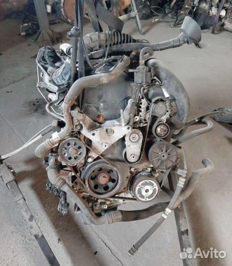 Двигатель Ford Transit 2.0 2019