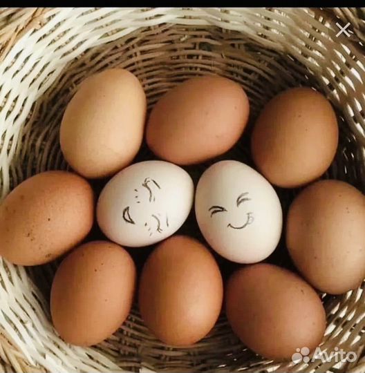Яйца домашнее куринное свежее, вкусное