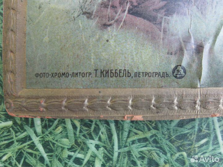 Фото-хромо-литография Т. Киббель, Петроград.нимфы