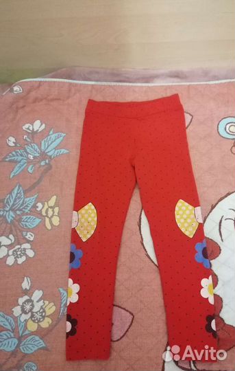 Брюки, легинсы