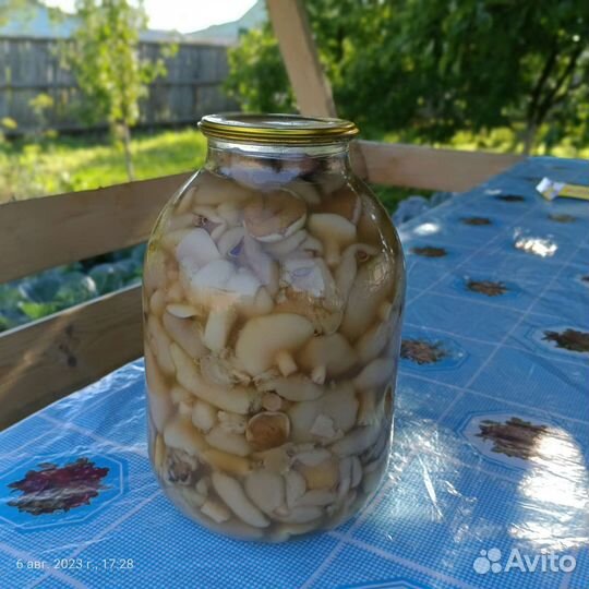 Грибы маслята маринованные