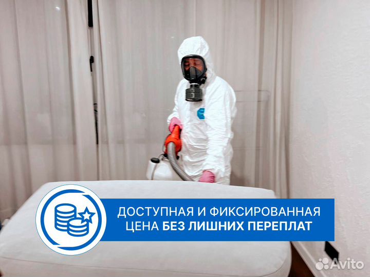 Уничтожение тараканов. Дезинфекция. Травля