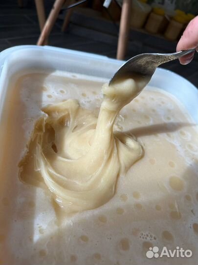 Натуральный мед от пчеловода, донник и эспарцет